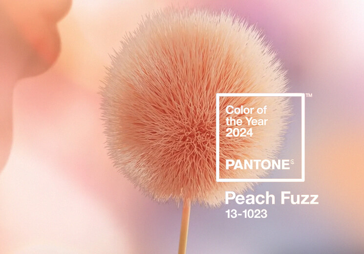 Pantone Farbe des Jahres 2024 »Peach Fuzz«